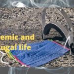 effects of pandemic on conjugal life